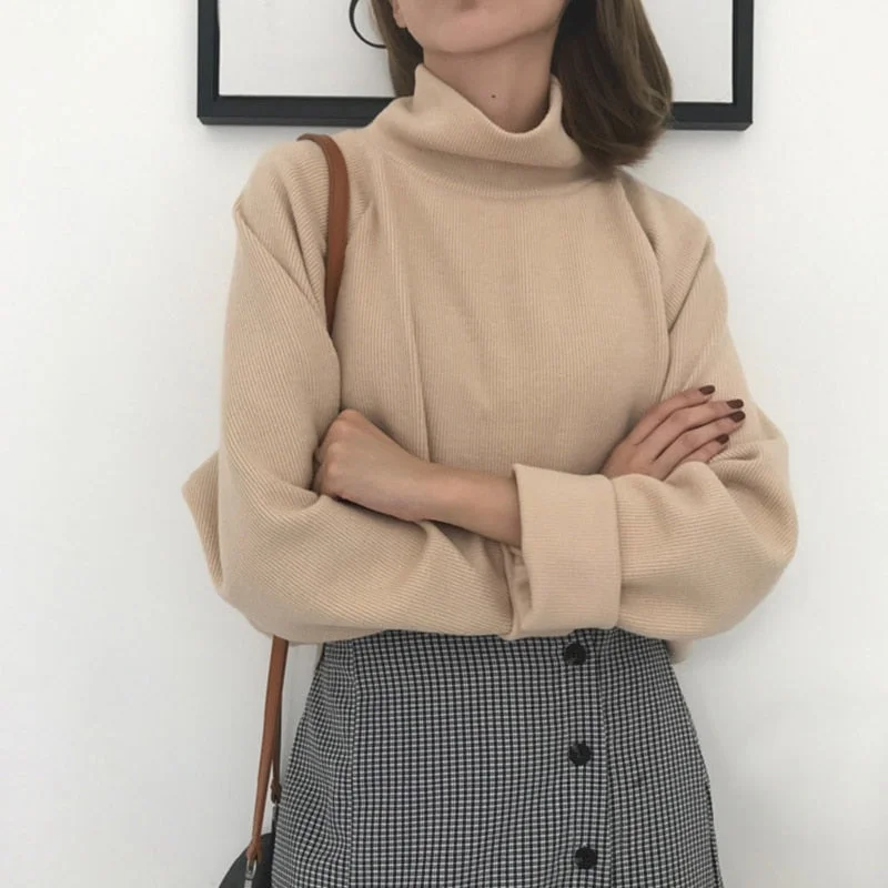Long Sleeve Turtleneck sweater Street